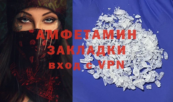 сатива Билибино