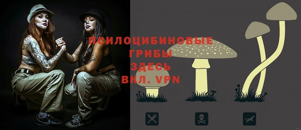 марки lsd Бикин