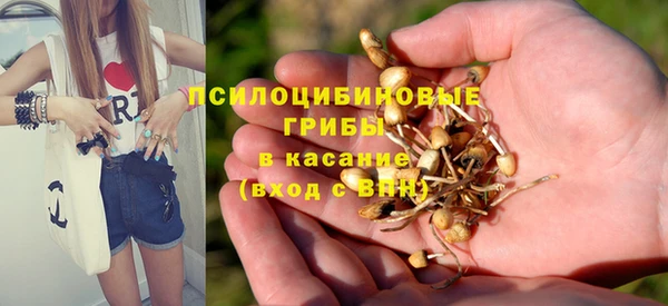 сатива Билибино
