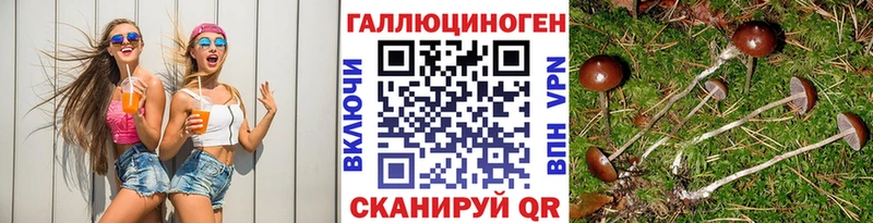 Псилоцибиновые грибы MAGIC MUSHROOMS  мега рабочий сайт  Зеленодольск 