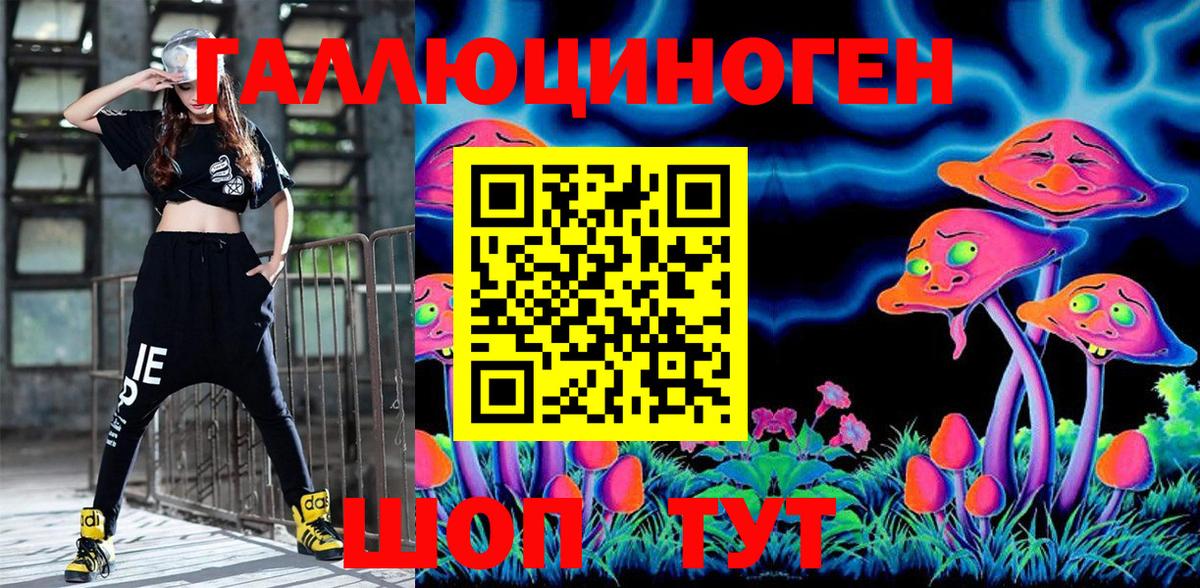 Галлюциногенные грибы Psilocybe Зеленодольск