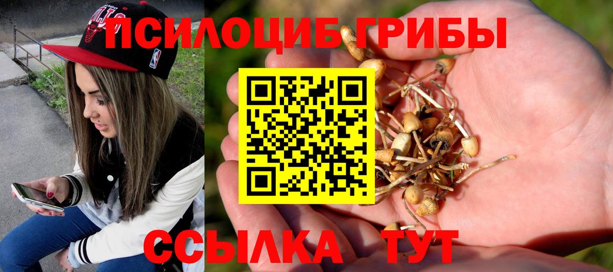 Псилоцибиновые грибы ЛСД  Вход с VPN  Галлюциногенные грибы Psilocybine cubensis  Зеленодольск 