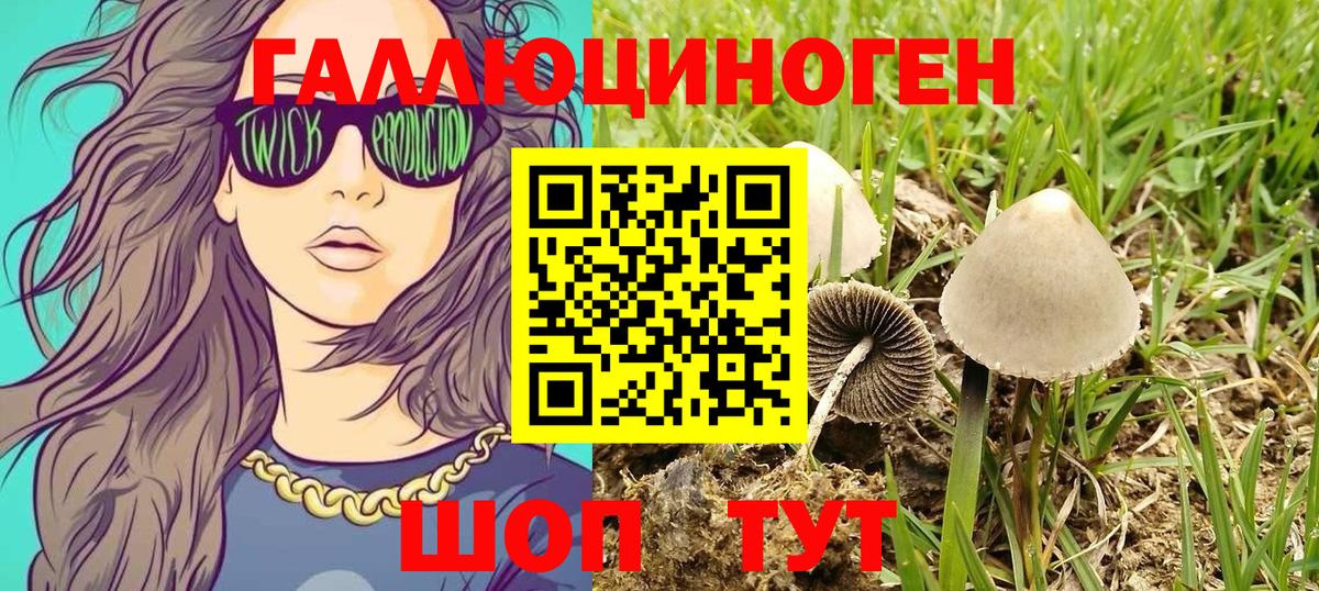 Псилоцибиновые грибы Psilocybe Зеленодольск